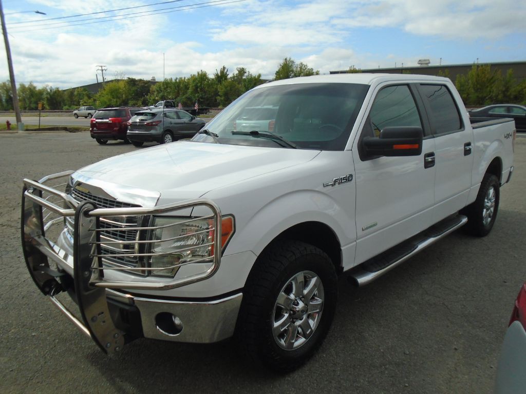 2014 Ford F-150 Image 1