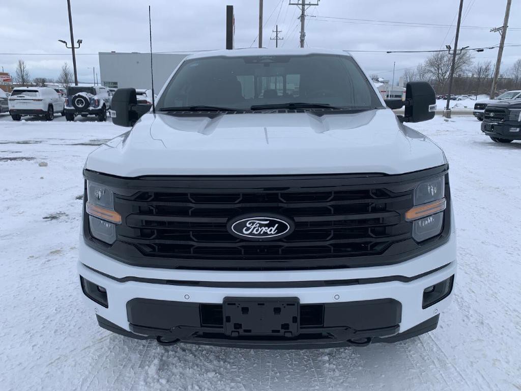 2025 Ford F-150 Image 3