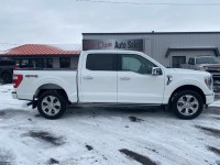 Image for 2023 Ford F-150 Platinum SuperCrew 5. ID: 7291956