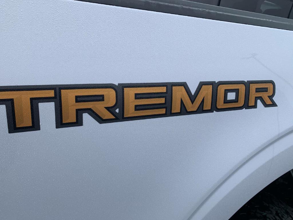 2025 Ford F-150 Image 10