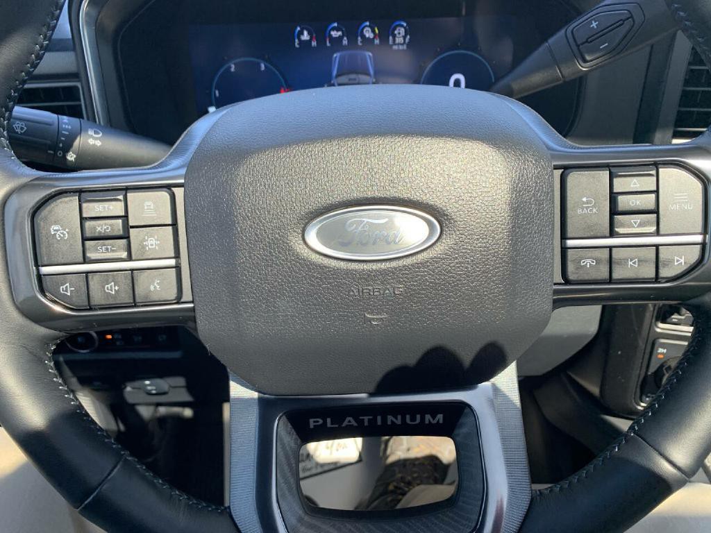 2025 Ford F-250 Image 21