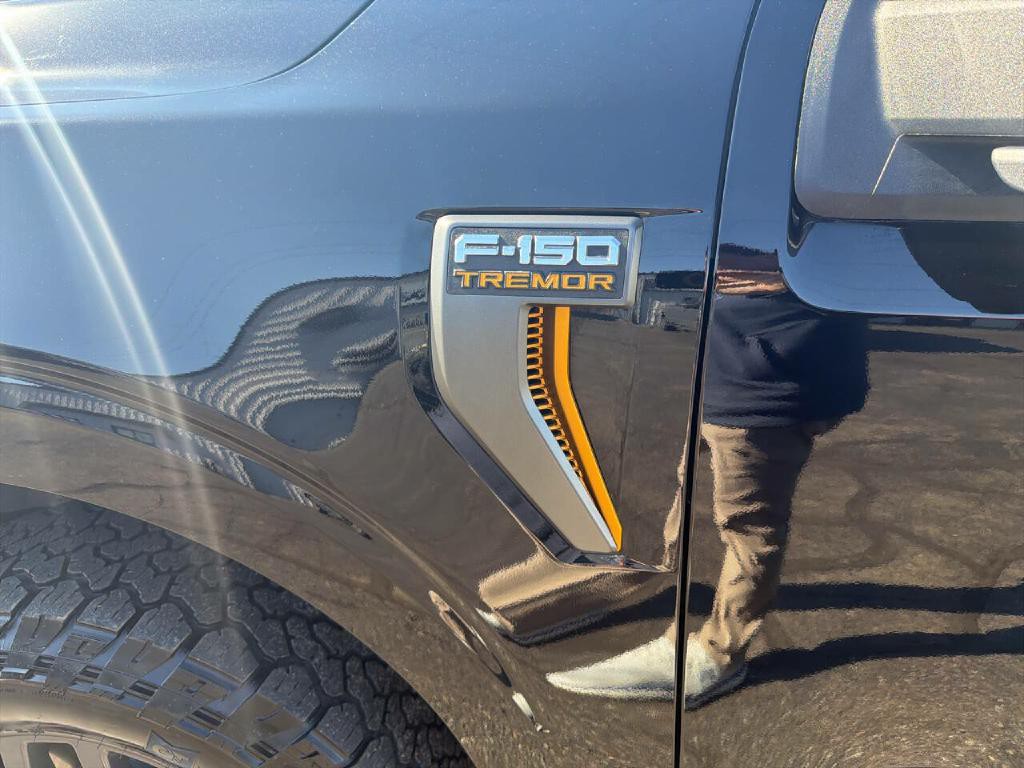2025 Ford F-150 Image 16