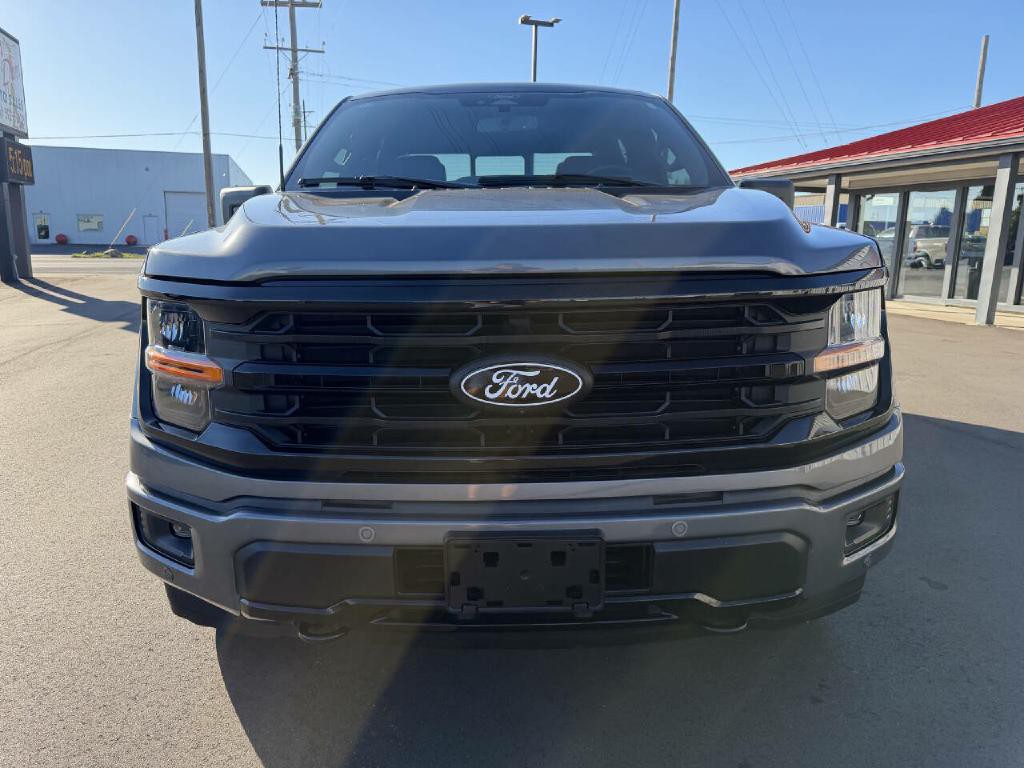 2025 Ford F-150 Image 3