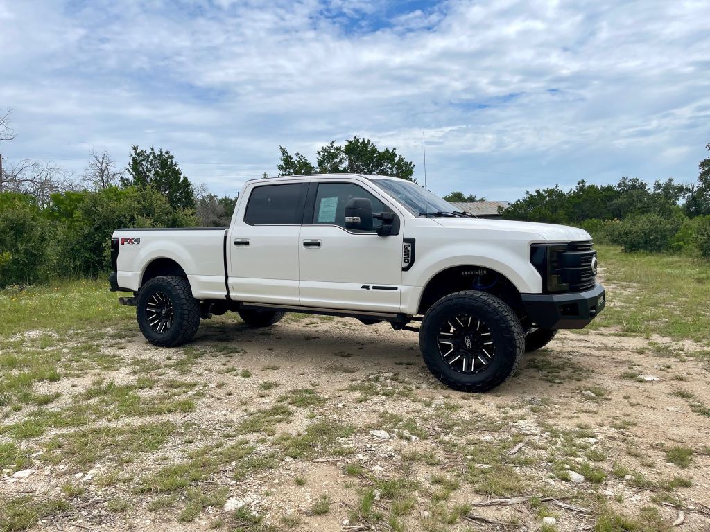 2017 Ford F-250 Image 3