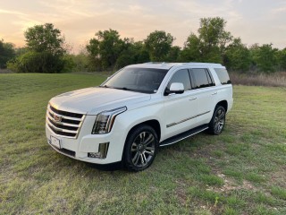 Image for 2016 Cadillac Escalade Luxury ID: 7036197