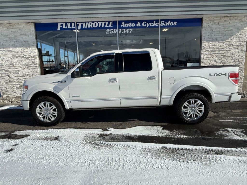 2014 Ford F-150 Image 4