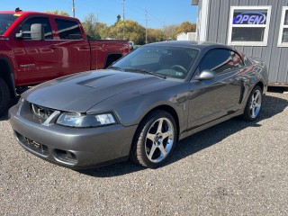 Image for 2003 Ford Mustang Cobra Svt ID: 6608717