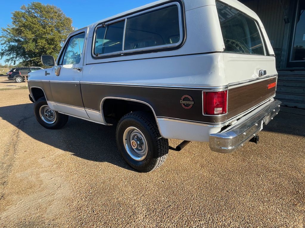 1978 Chevrolet Blazer Image 8
