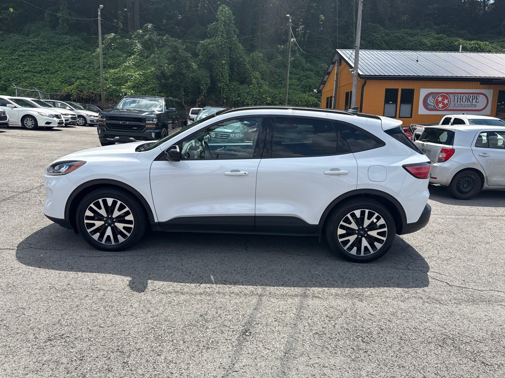 2020 Ford Escape Image 4