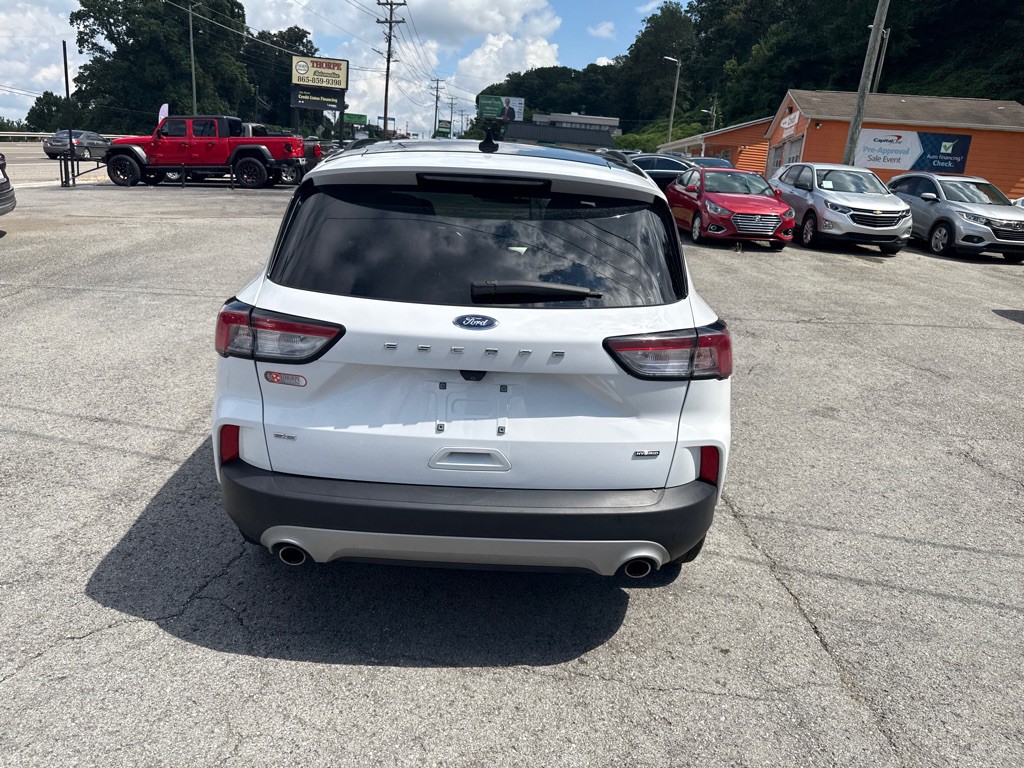 2020 Ford Escape Image 6