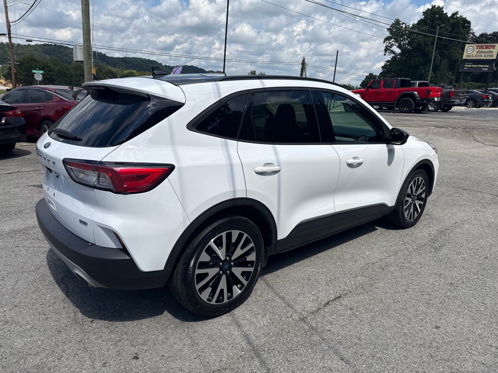 2020 Ford Escape Image 7