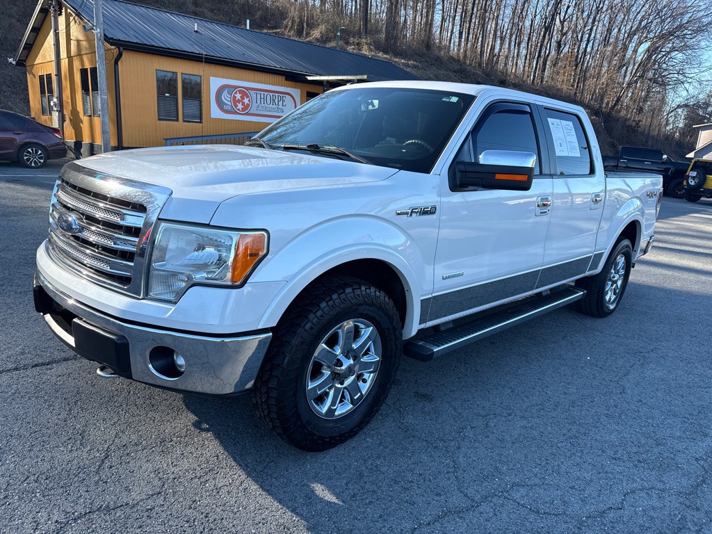 2013 Ford F-150 Image 3