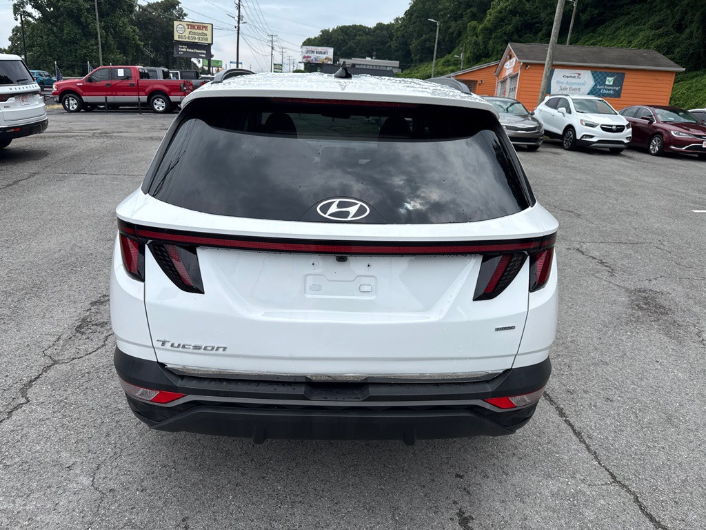 2024 Hyundai Tucson Image 6
