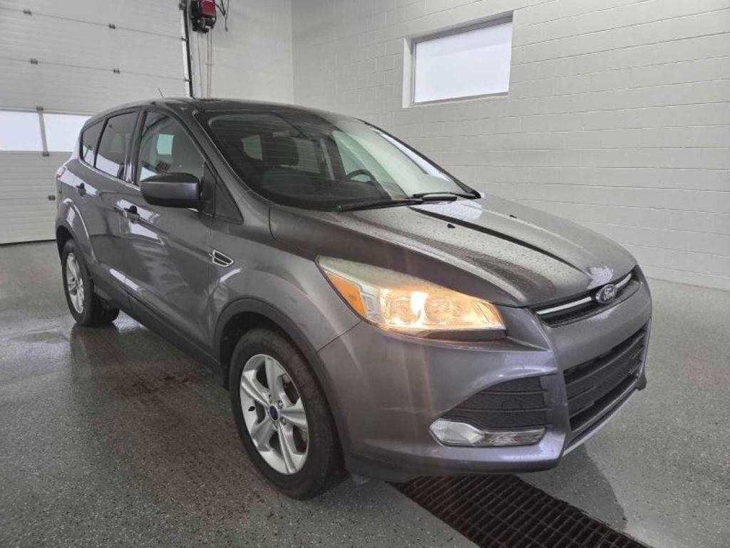 2014 Ford Escape Image 3