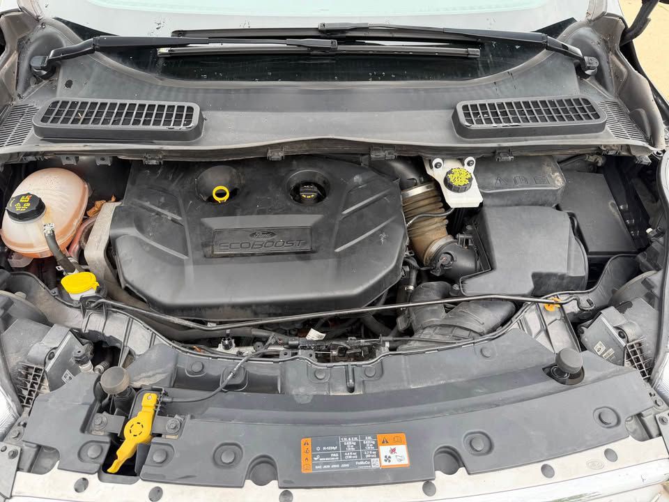 2019 Ford Escape Image 11