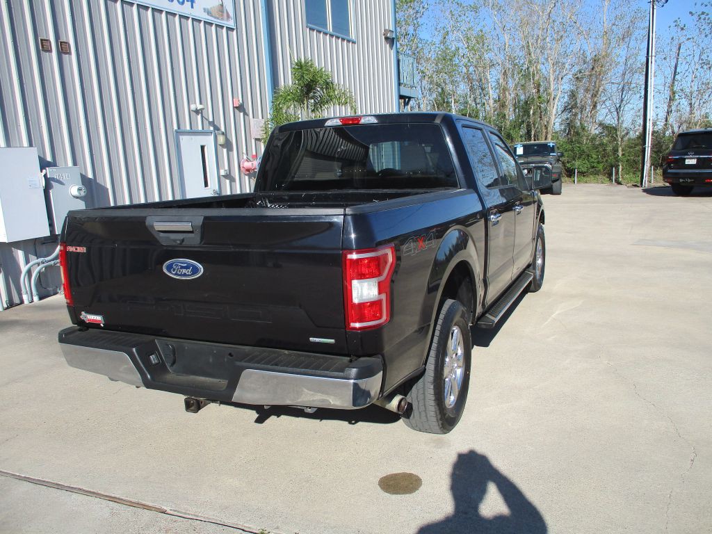 2019 Ford F-150 Image 4