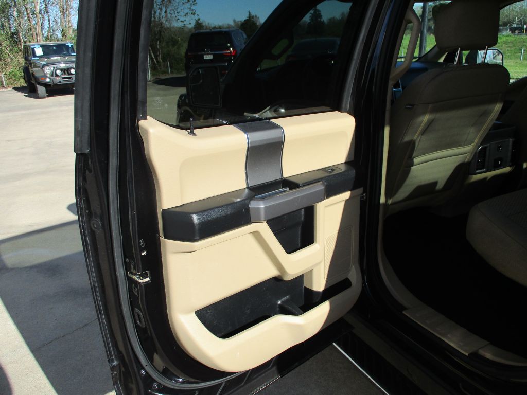 2019 Ford F-150 Image 13