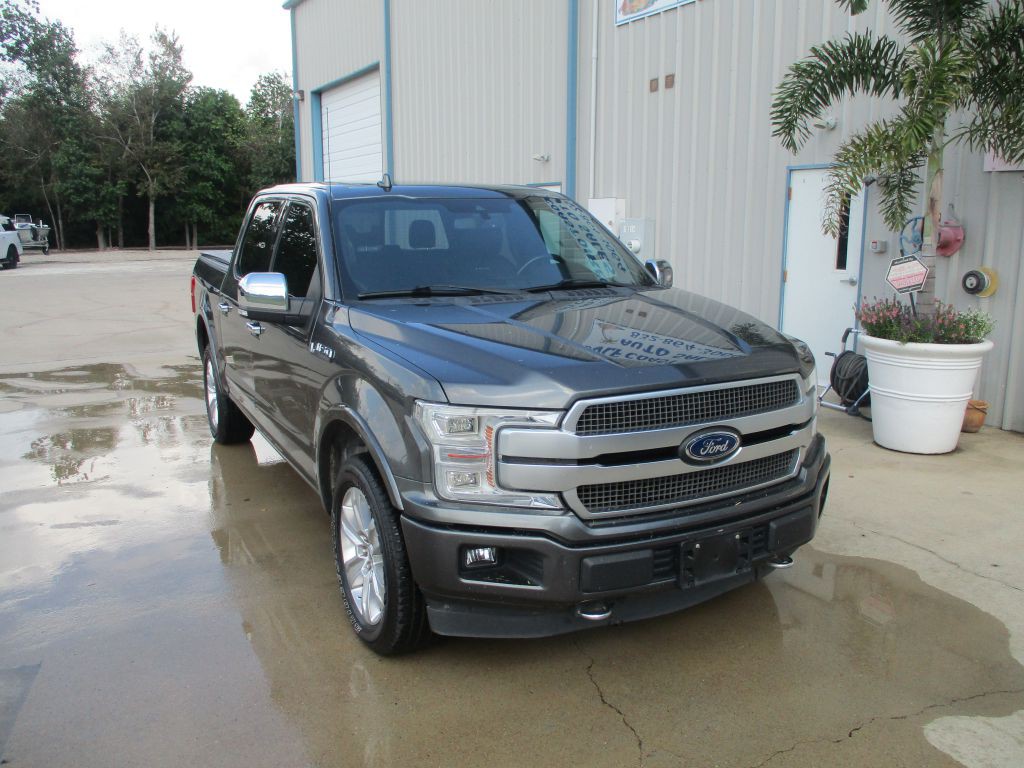 2019 Ford F-150 Image 1