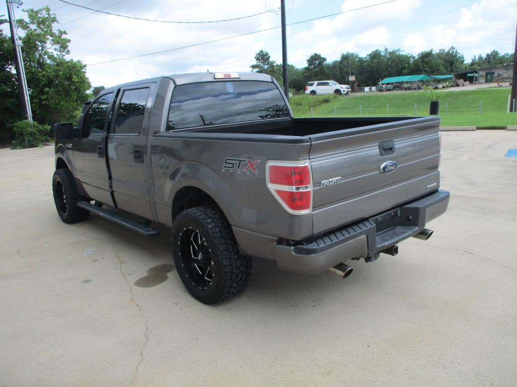 2014 Ford F-150 Image 3