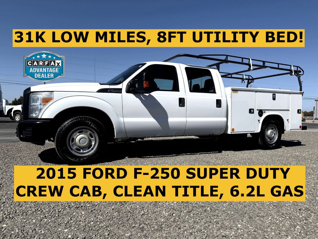 2015 Ford F-250 Image 1