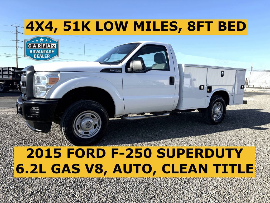 2015 Ford F-250 Image 1