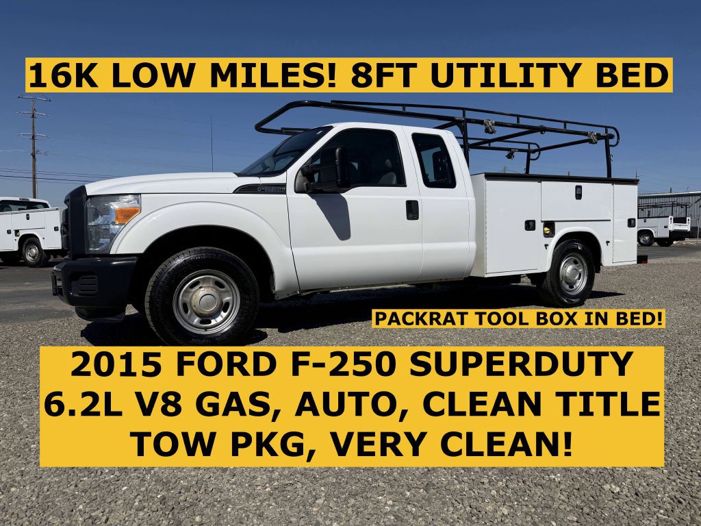 2015 Ford F-250 Image 1