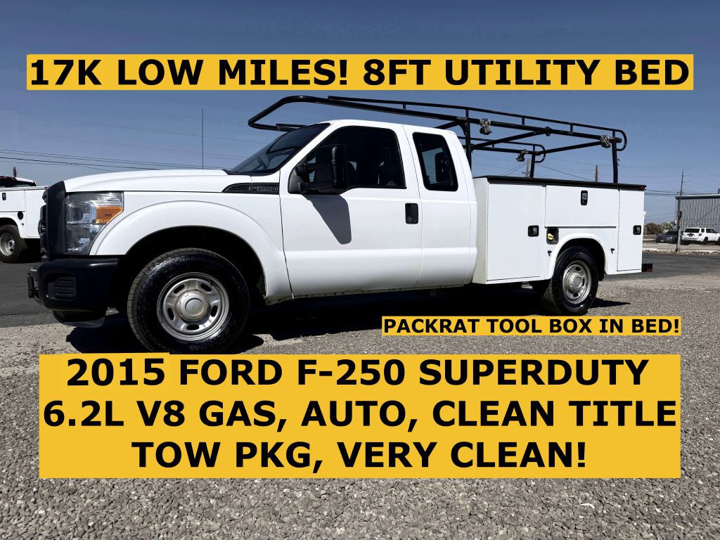 2015 Ford F-250 Image 1