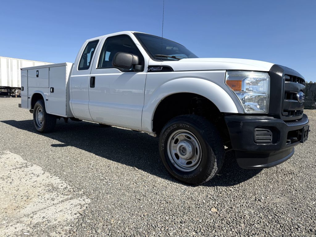 2016 Ford F-250 Image 4