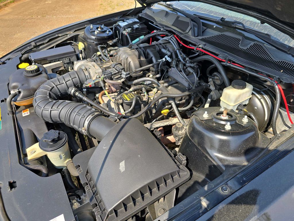 2010 Ford Mustang Image 11