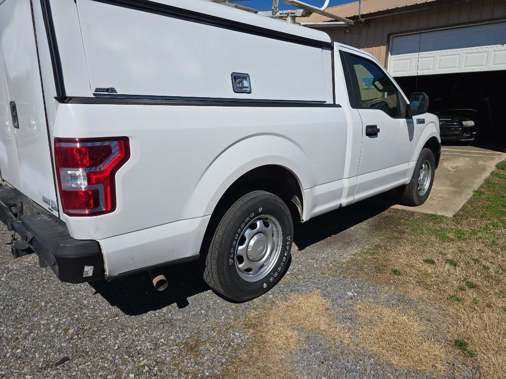 2020 Ford F-150 Image 4