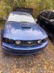 Image for 2007 Ford Mustang GT ID: 6958098