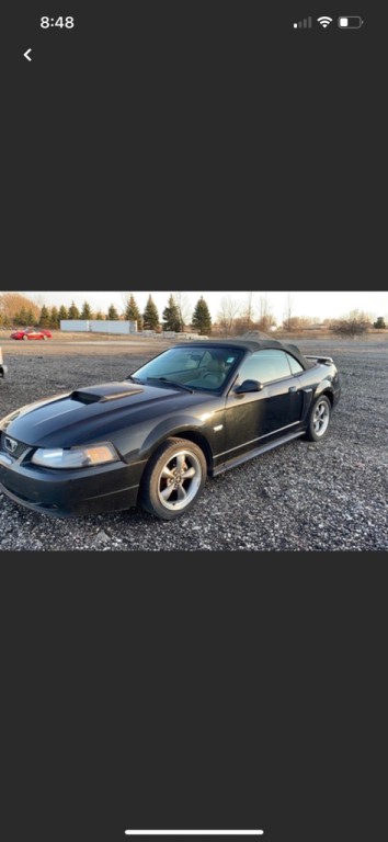 2003 Ford Mustang Image 2