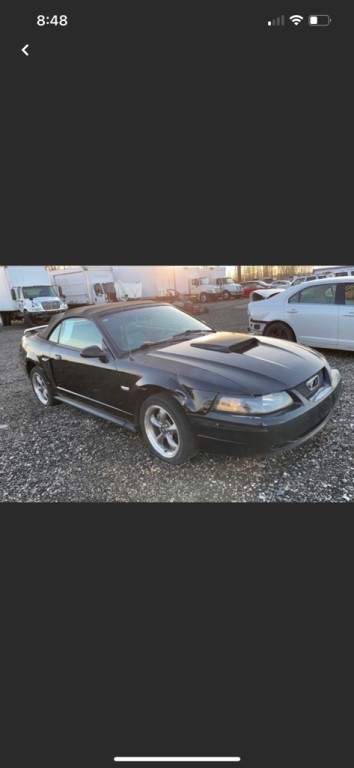 2003 Ford Mustang Image 4