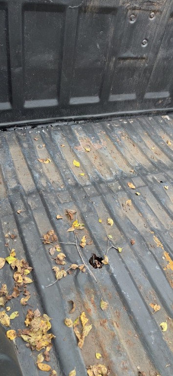 1967 Chevrolet C/K 10 Image 7