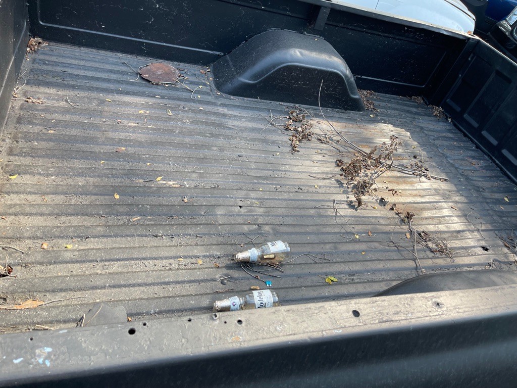 1967 Chevrolet C/K 10 Image 15