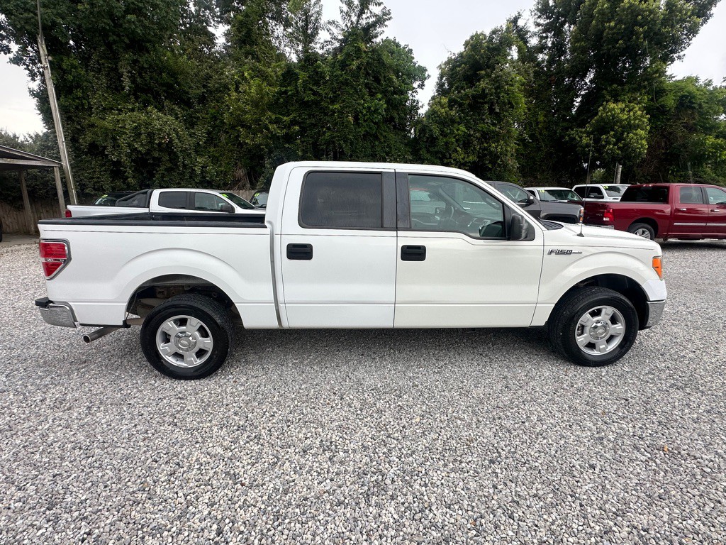 2013 Ford F-150 Image 5