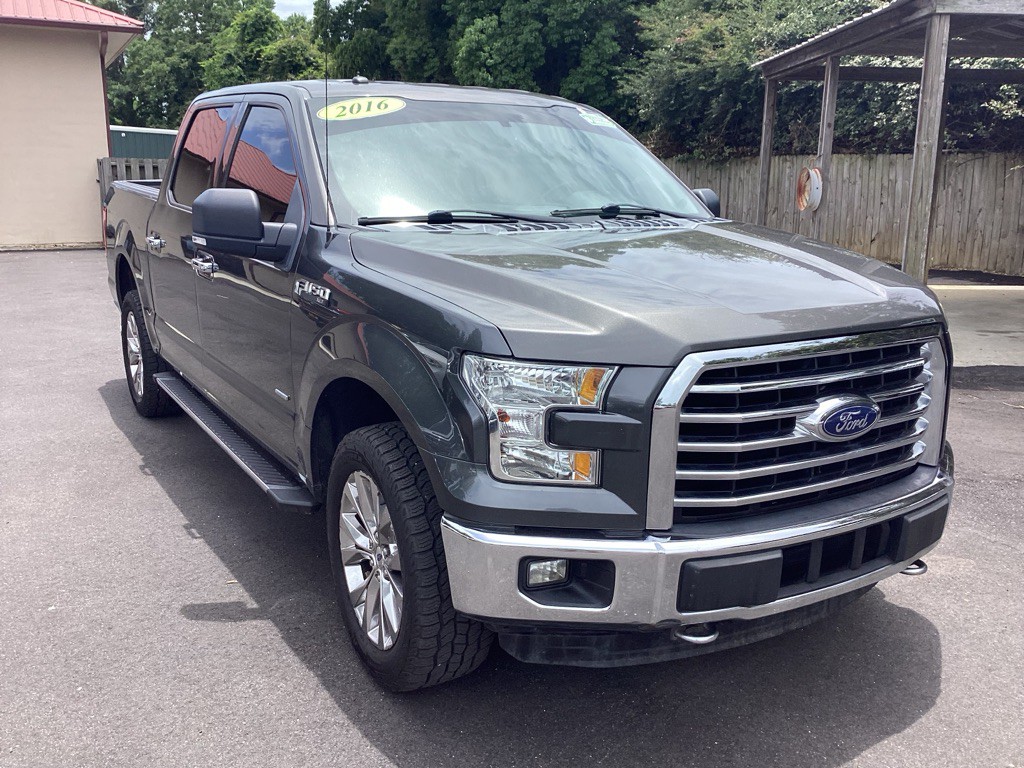 2016 Ford F-150 Image 1