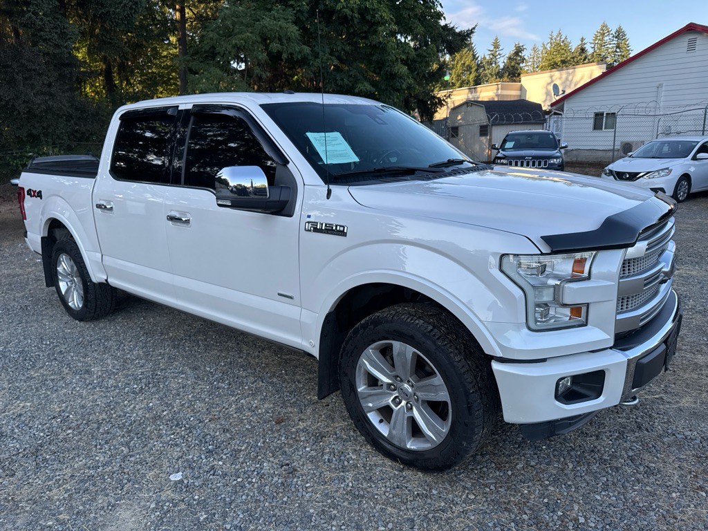 2016 Ford F-150 Image 3
