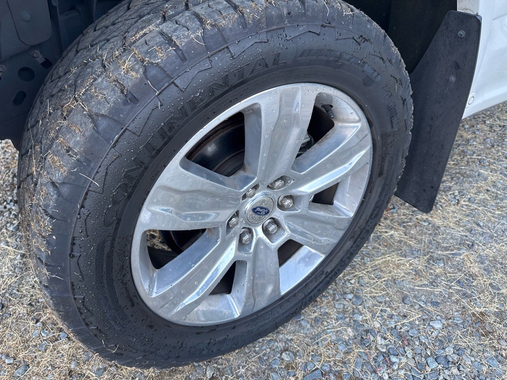2016 Ford F-150 Image 30