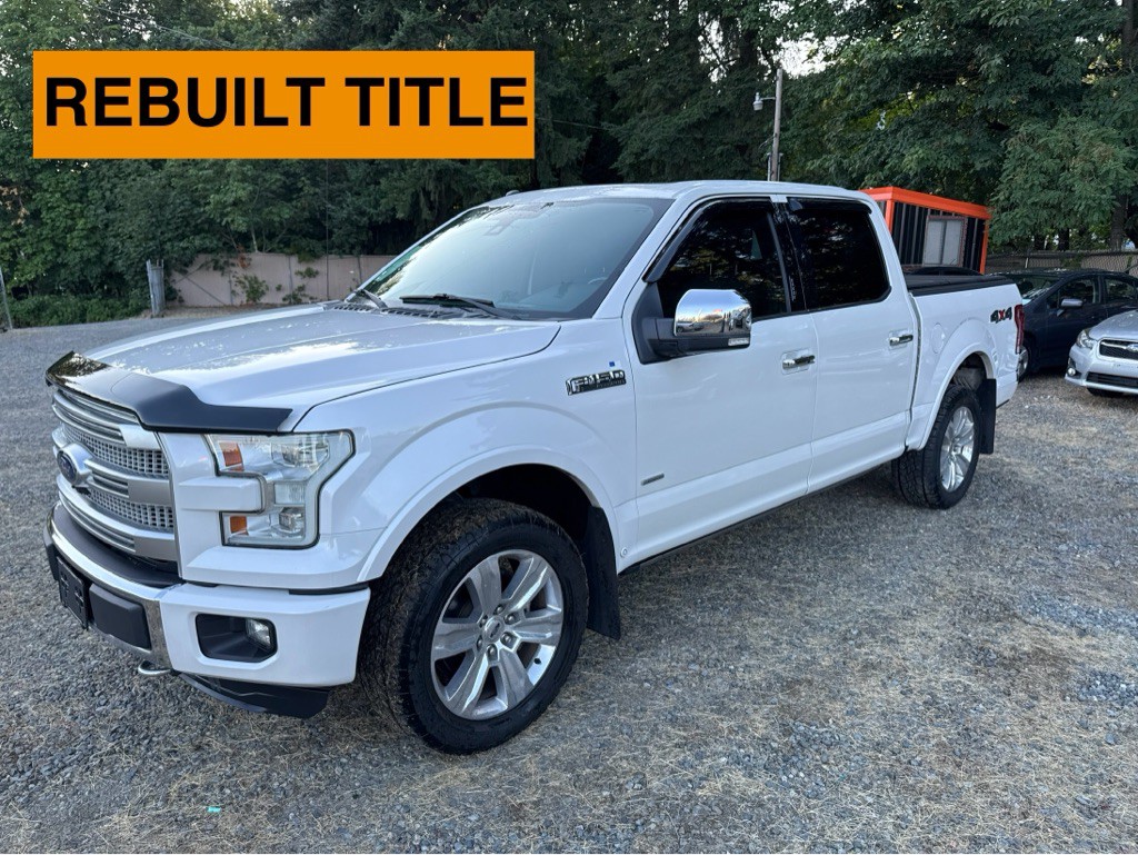 2016 Ford F-150 Image 1