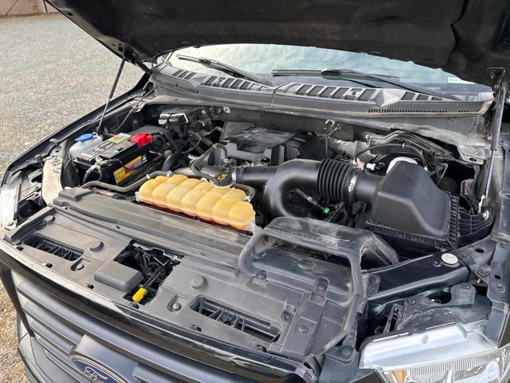 2015 Ford F-150 Image 19