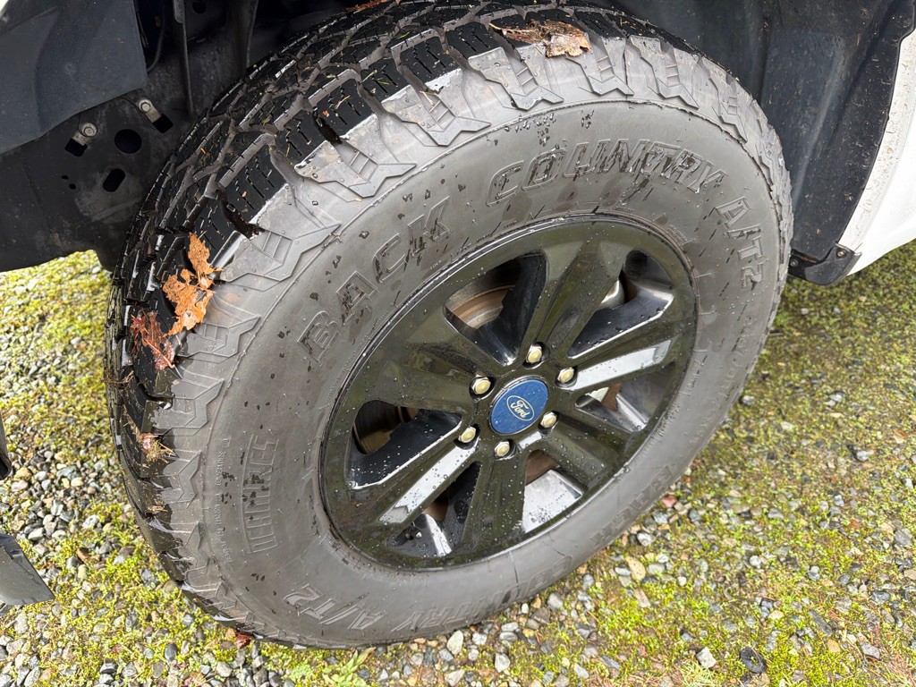 2020 Ford F-150 Image 19