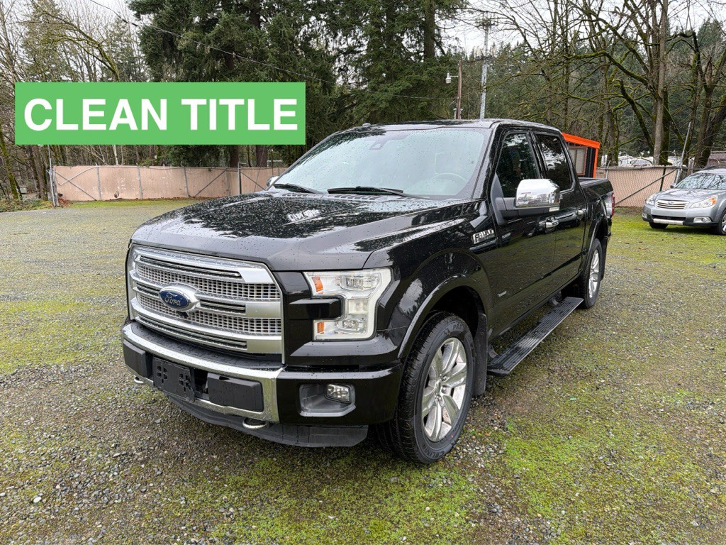 2015 Ford F-150 Image 1