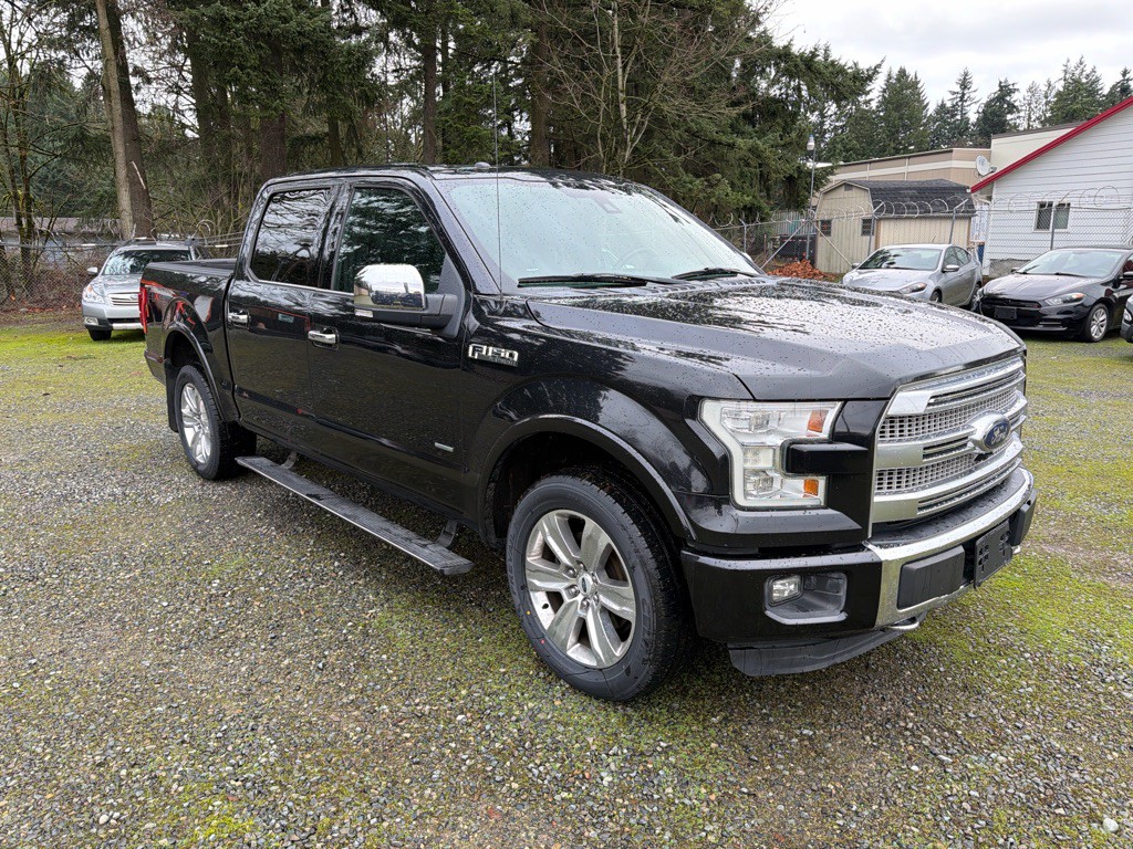 2015 Ford F-150 Image 3