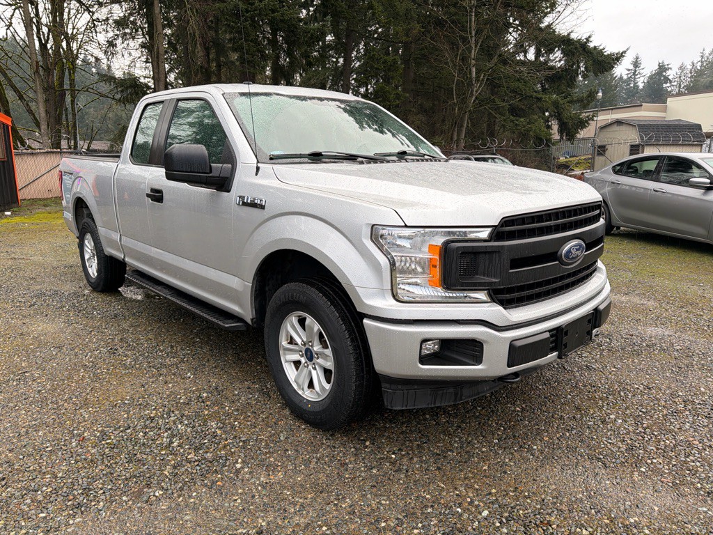 2019 Ford F-150 Image 3