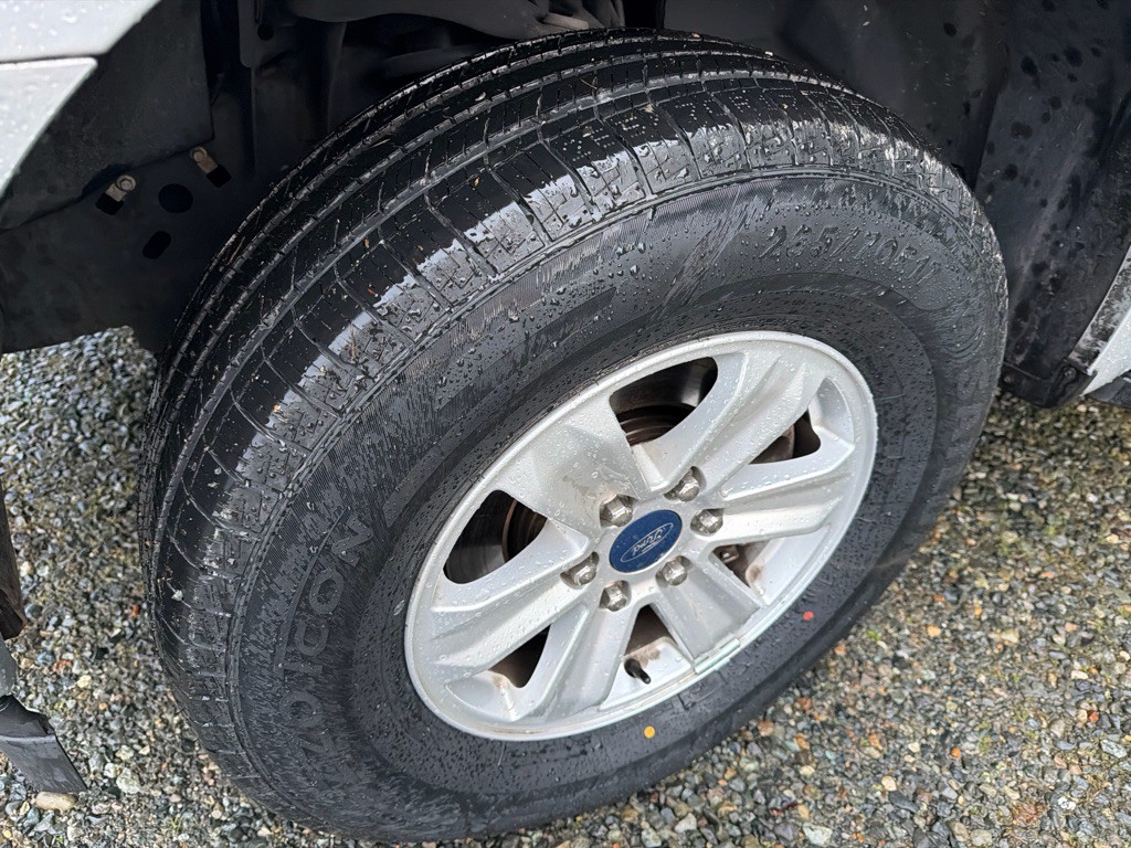 2019 Ford F-150 Image 18