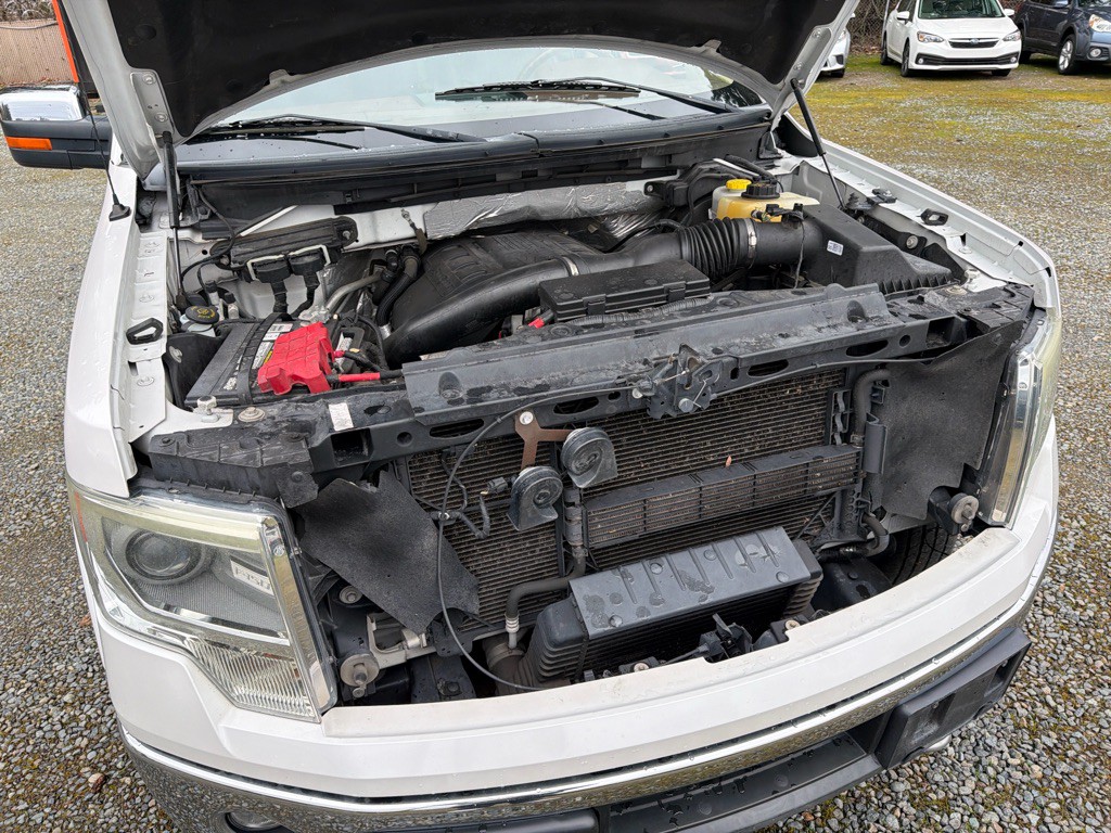 2014 Ford F-150 Image 21