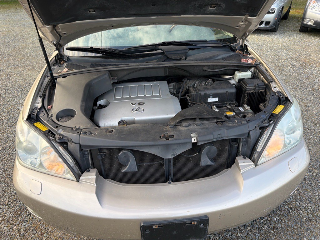 2007 Lexus RX Image 19