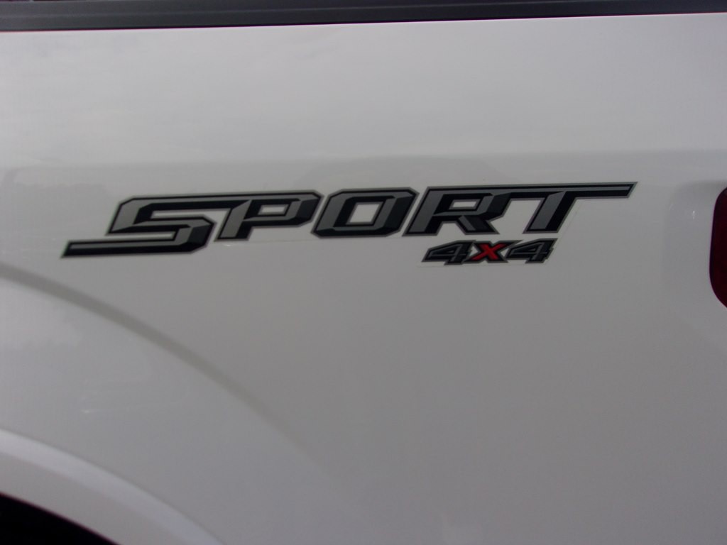 2019 Ford F-150 Image 39