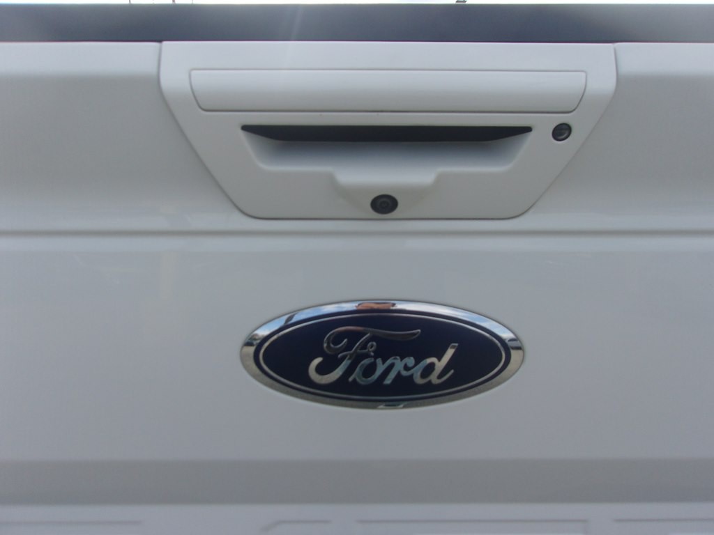 2019 Ford F-150 Image 41